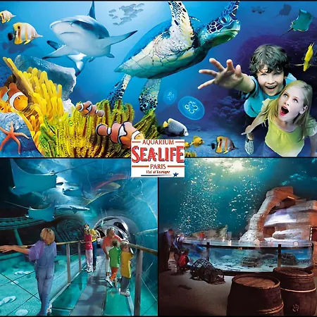 Résidence Du Lac-proche Disneyland Paris Hébergement de vacances