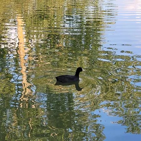 Résidence Du Lac-proche Disneyland Paris Hébergement de vacances Émerainville